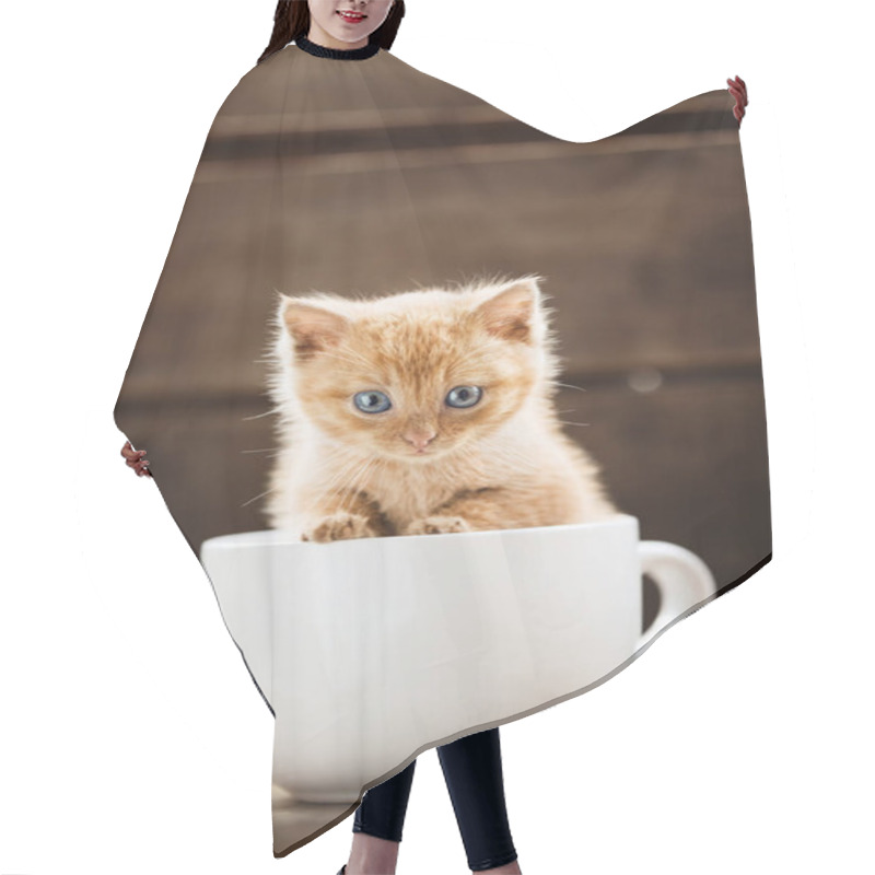 Personality  Little Ginger Kitten Is Sitting In A White Mug. Hair Cutting Cape