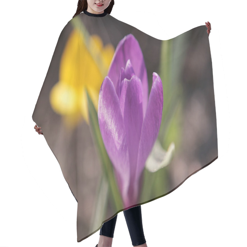 Personality  Crocus Spring Flower  Hair Cutting Cape