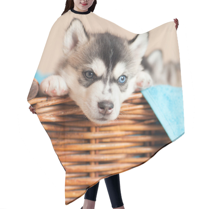 Personality  Husky Puppy In A Basket Hair Cutting Cape