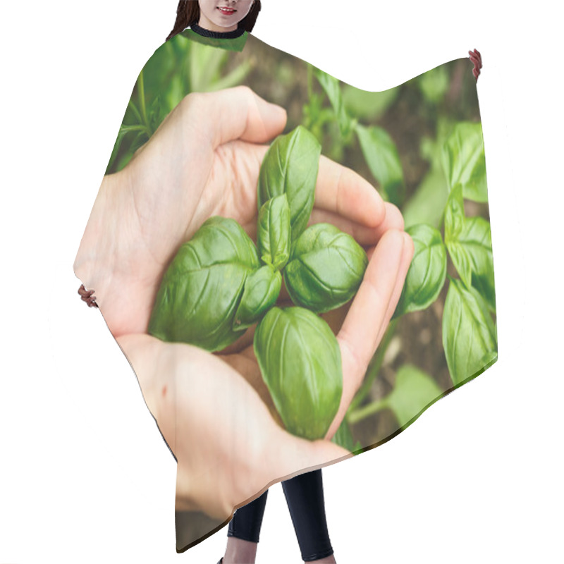 Personality  Basil Leaves Hair Cutting Cape