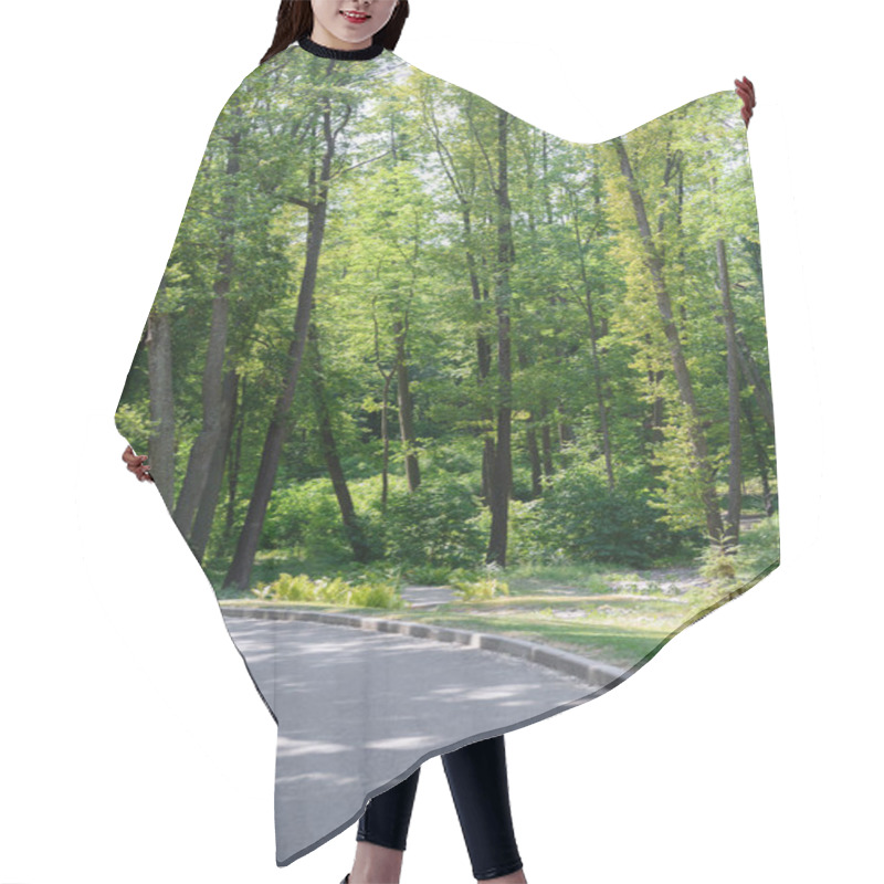 Personality  Scenic View Of Asphalt Path And Trees In Park  Hair Cutting Cape