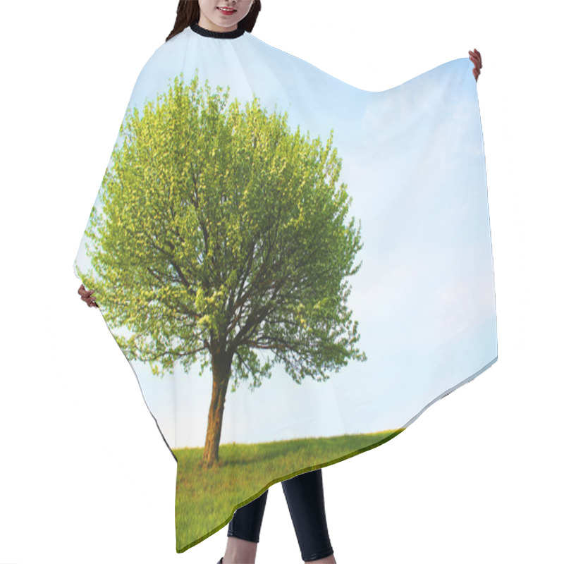 Personality   Hair Cutting Cape