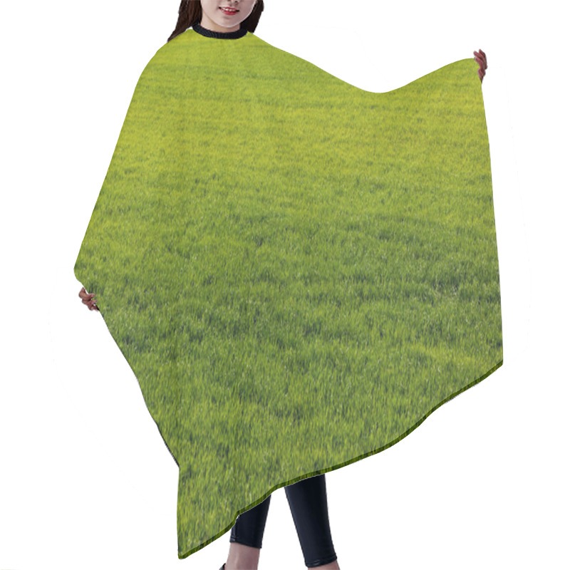 Personality  Fresh And Green Lawn With Grass In Summer  Hair Cutting Cape