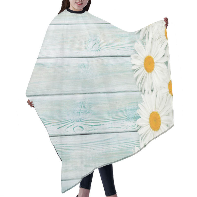 Personality  Garden Chamomile Flowers On Blue Wooden Background. Top View With Copy Space Hair Cutting Cape