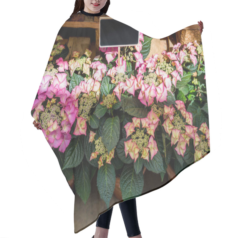 Personality  Hortensia Hair Cutting Cape