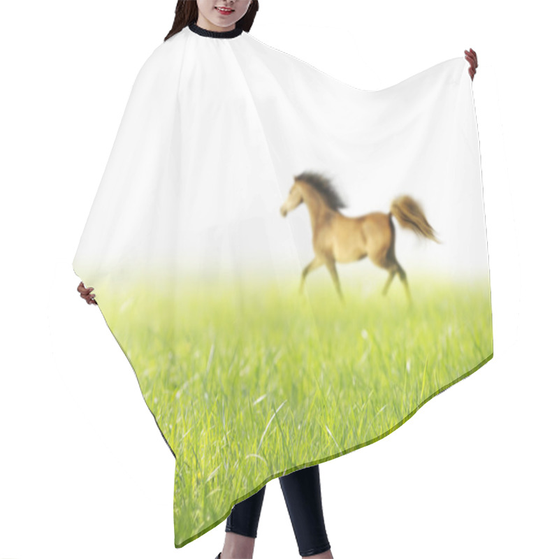 Personality  Spring Horse Grass White Background Hair Cutting Cape