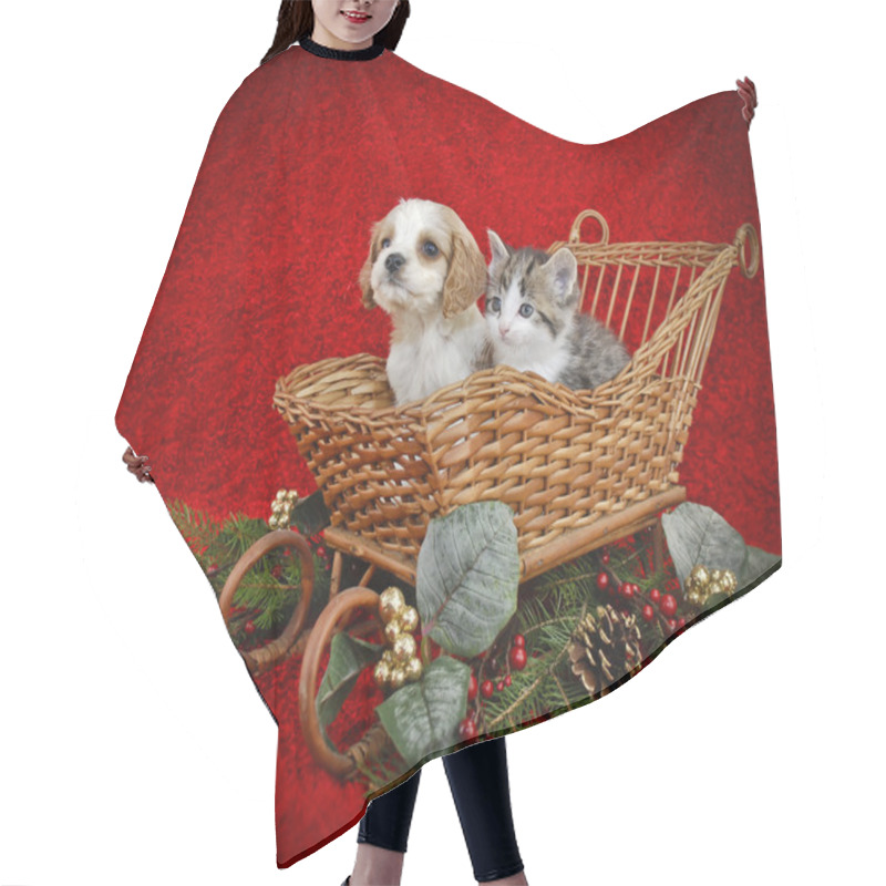 Personality  Christmas Puppy And Kitten. Hair Cutting Cape