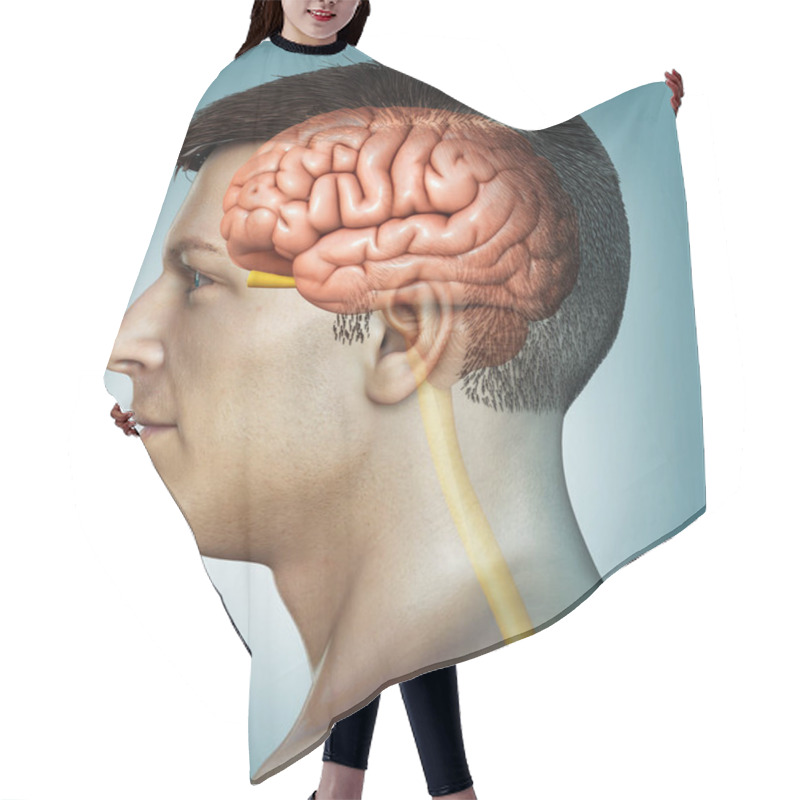 Personality  3d Rendered Medically Accurate Illustration Of A Male Brain Anatomy Hair Cutting Cape