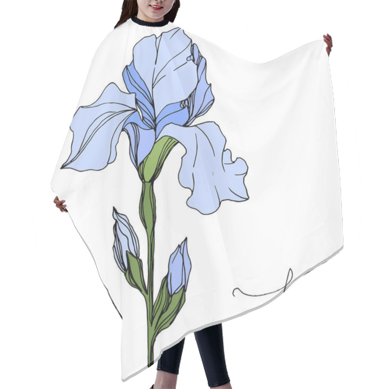 Personality  Vector Blue Iris Isolated On White. Engraved Ink Art. Isolated Iris Illustration Element On White Background. Hair Cutting Cape