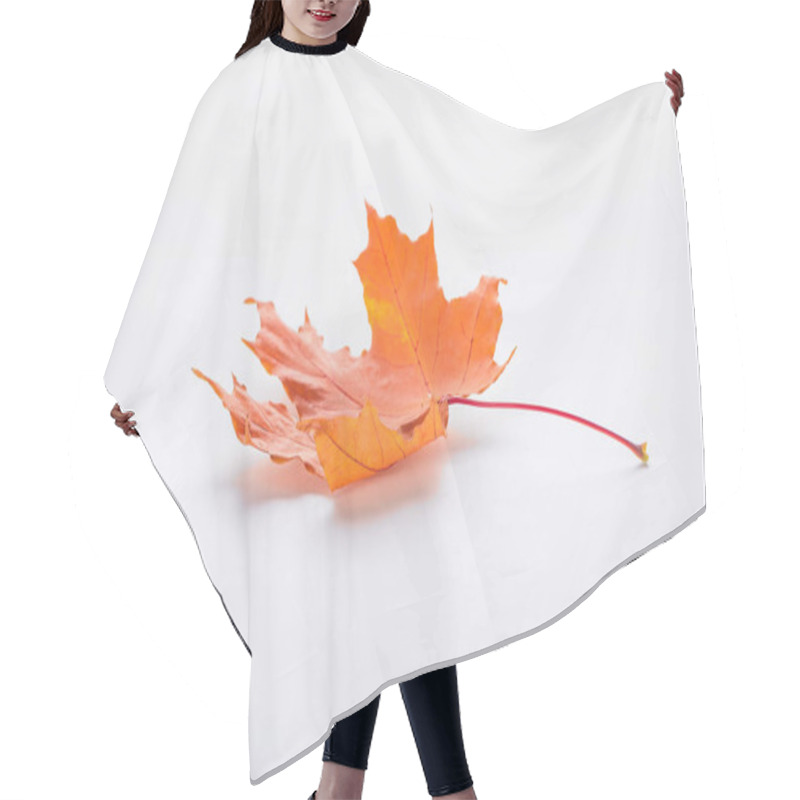 Personality  One Orange Maple Leaf Isolated On White, Autumn Background Hair Cutting Cape