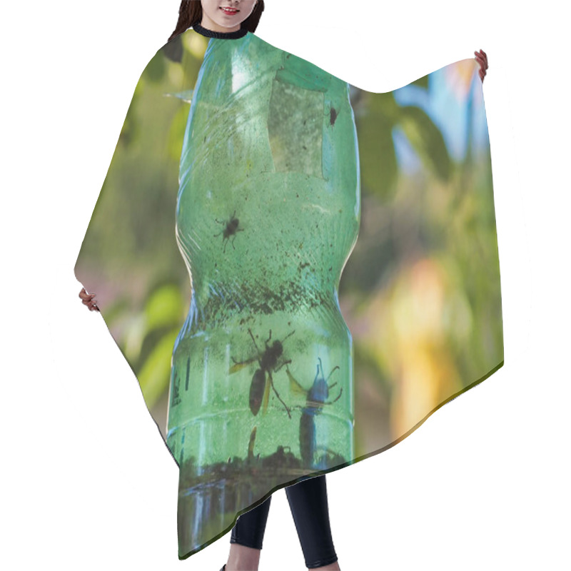 Personality  Homemade Green Bottle Insect Trap Displayed Outdoors In A Natural Environment, Used For Capturing Insects Effectively. Hair Cutting Cape