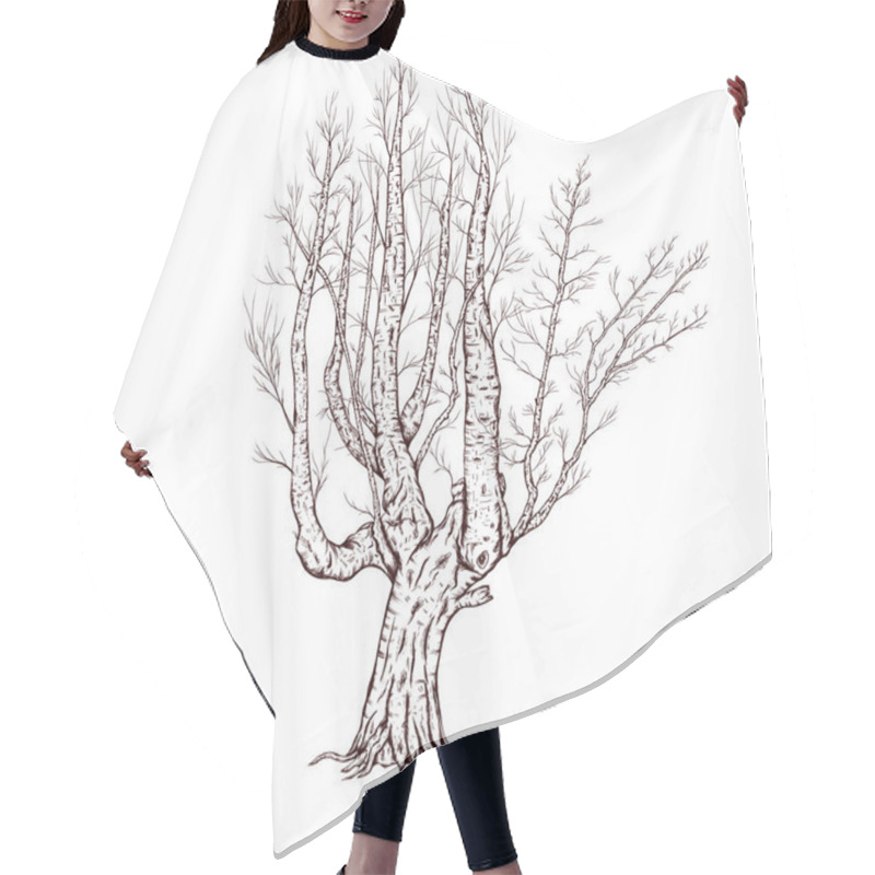 Personality  Mystic Tree Sketch, Spooky Fall Tree Without Leaves, Winter Tree, Black Illustration Hair Cutting Cape