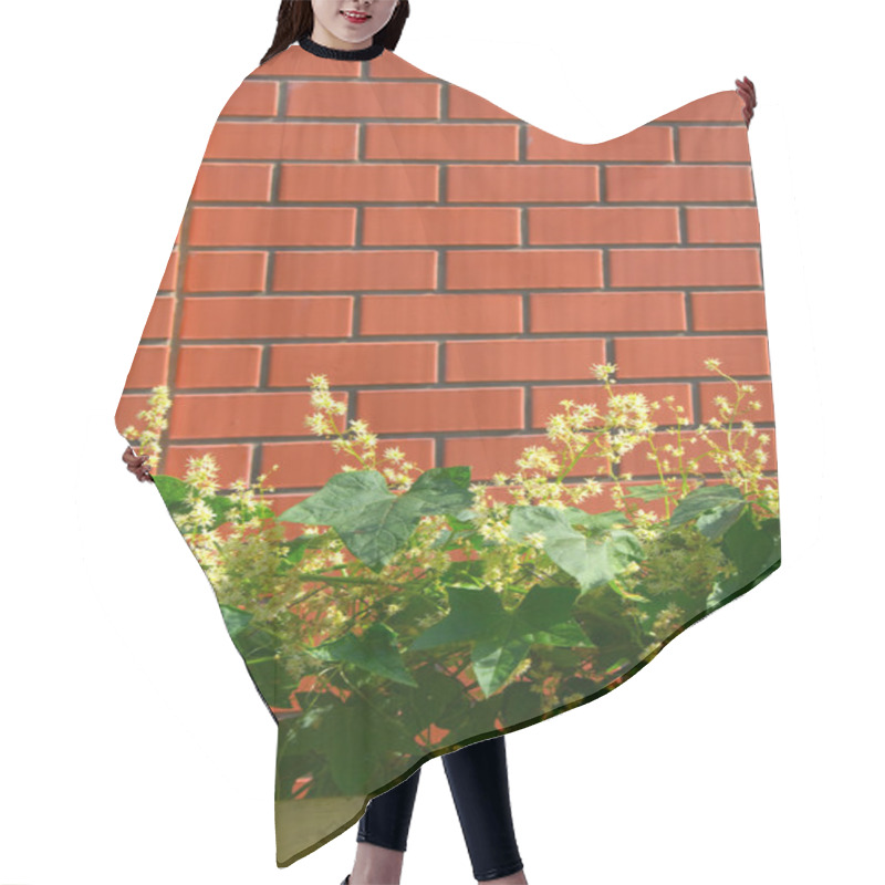 Personality  Wall Brick Plant Hair Cutting Cape