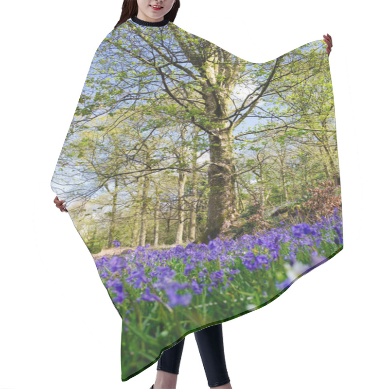 Personality  Bluebell Woods Selective Focus In Spring With Trees In Leaf And Blue Sky Hair Cutting Cape