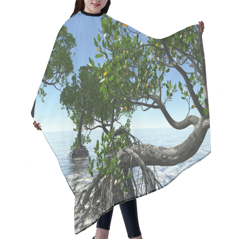 Personality  Red Mangroves On Florida Coast 3d Rendering Hair Cutting Cape