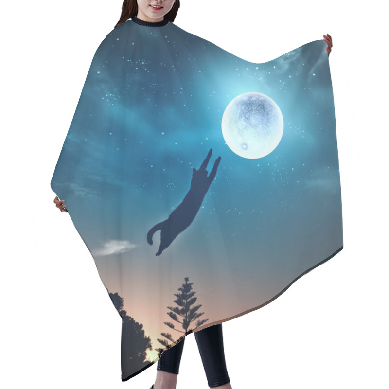 Personality  Cat Catching Moon Hair Cutting Cape