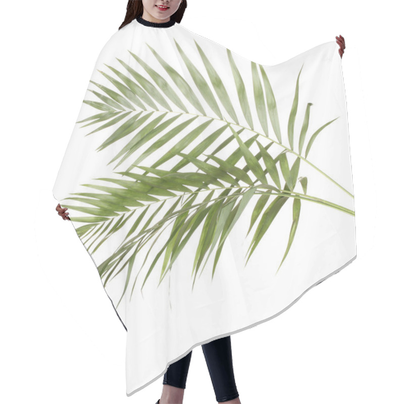 Personality  Beautiful Palm Leaves Isolated On White Hair Cutting Cape