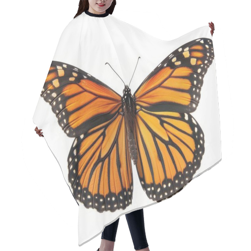 Personality  A Vibrant Monarch Butterfly With Striking Orange And Black Wings On A White Background. Hair Cutting Cape