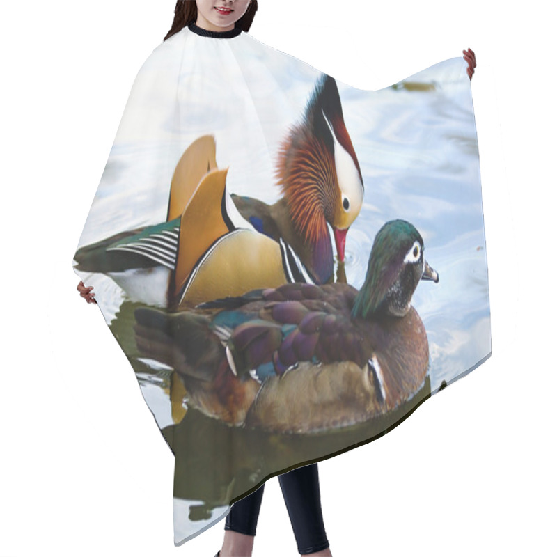 Personality  Mandarin Duck Couple Hair Cutting Cape