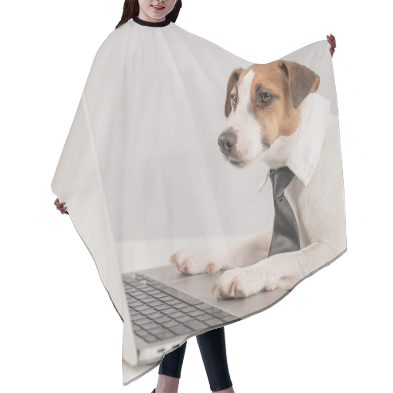 Personality  Cute Jack Russell Terrier Dog In A Tie Working On A Laptop On A White Background Hair Cutting Cape