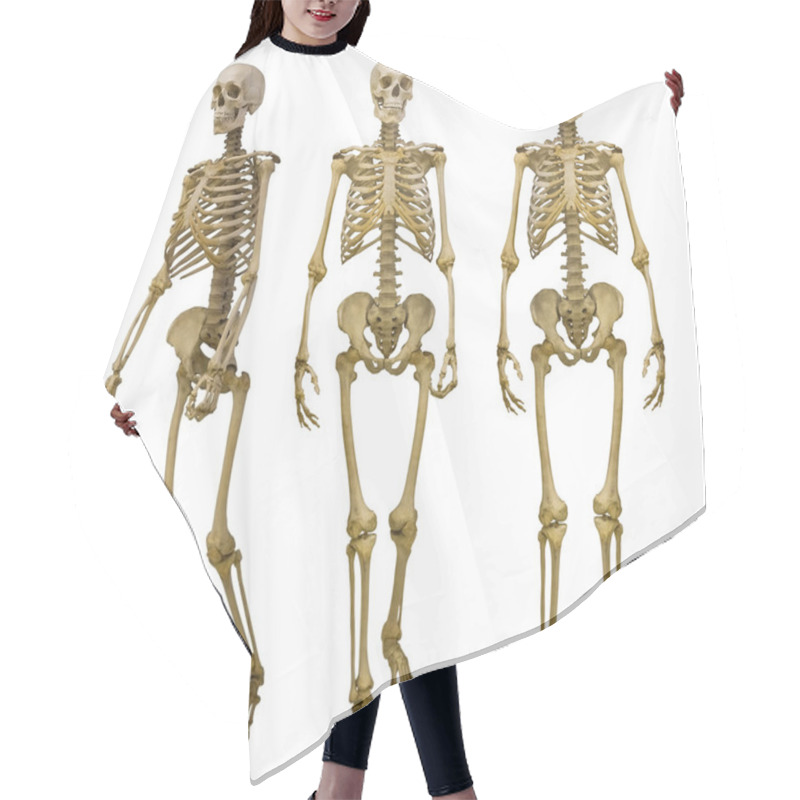 Personality  Human Skeletons Hair Cutting Cape