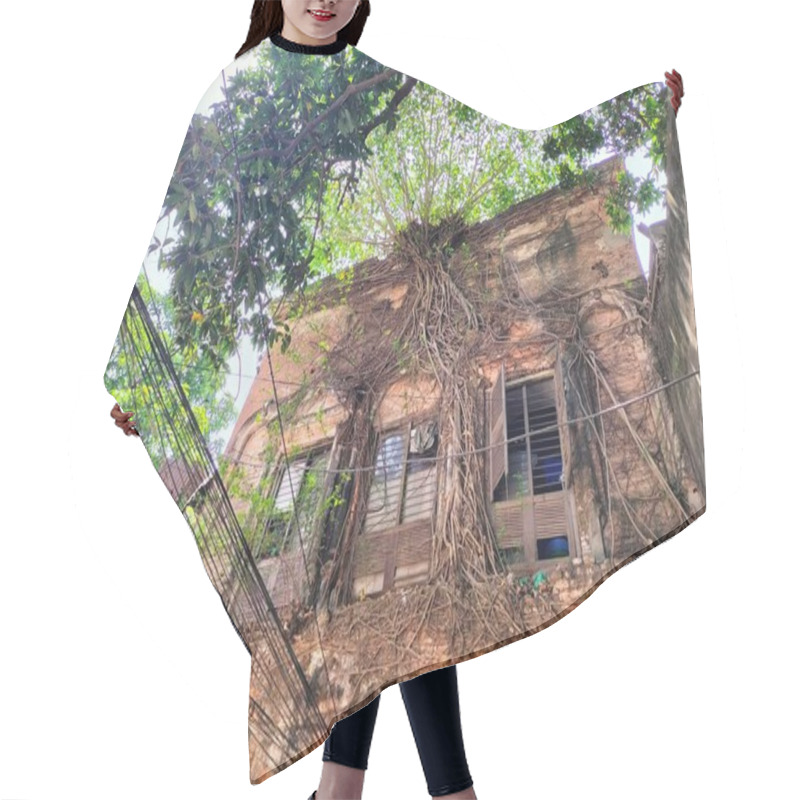 Personality  Historic Boarding Building With Intricate Old Tree Roots Intertwined: A Fascinating Blend Of Nature And Architecture Hair Cutting Cape