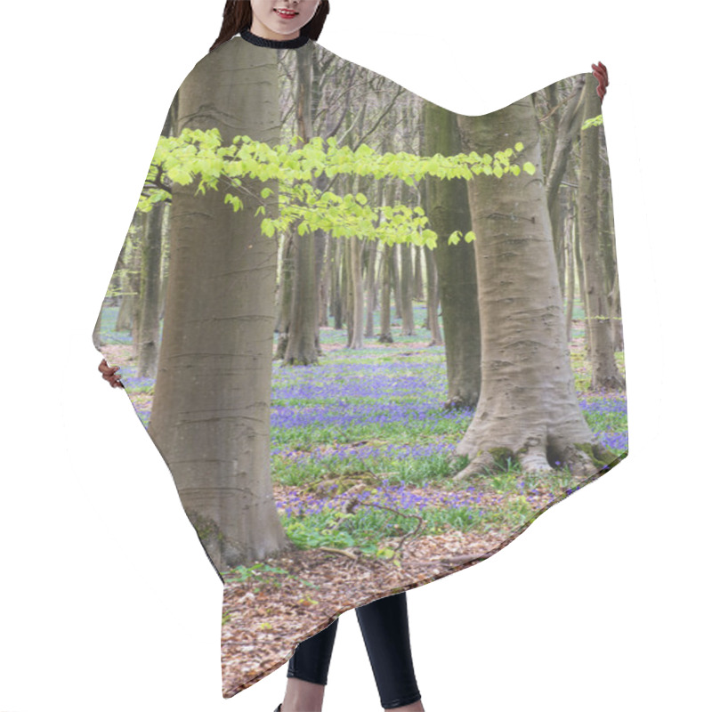 Personality  Stunning Bluebell Flowers In Spring Forest Landscape Hair Cutting Cape