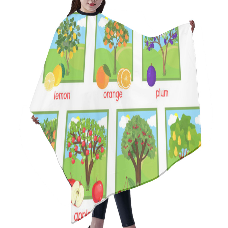 Personality   Set Of Different Fruit Trees With Ripe Fruits And Title Hair Cutting Cape