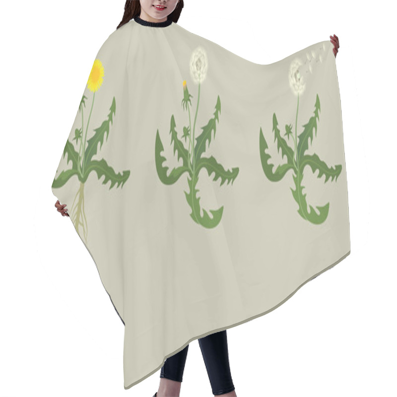 Personality  Dandelion Hair Cutting Cape