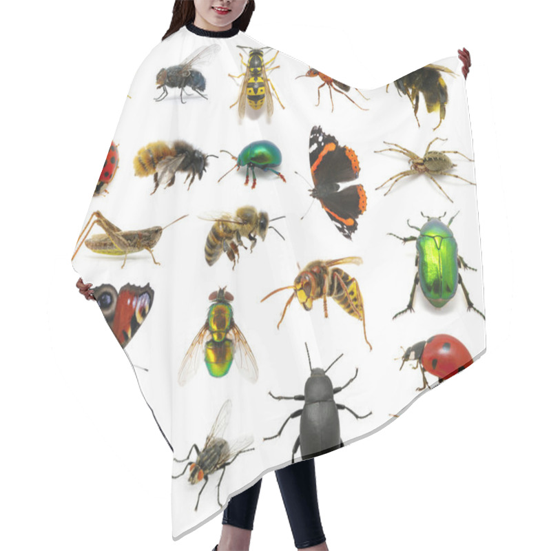 Personality  Set Of Insects Hair Cutting Cape