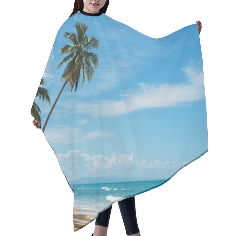 Personality  Beautiful Ocean Coast With Tropic Palms  Hair Cutting Cape