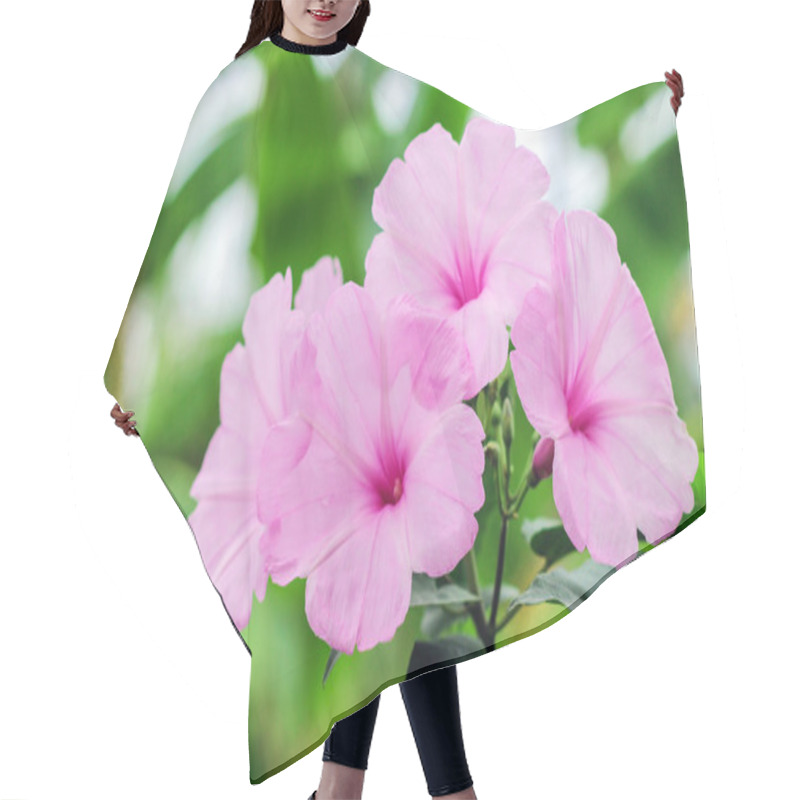 Personality  Pink Morning Glory Beautiful Flowers  Hair Cutting Cape