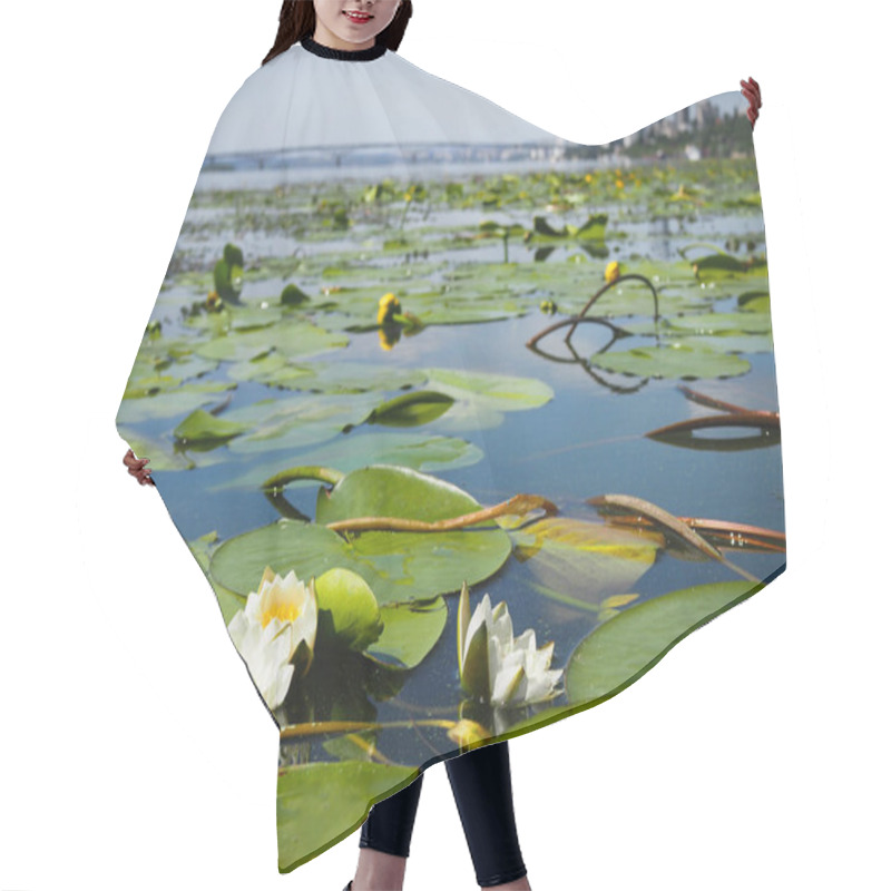 Personality  Blooming White Water Lilies Against The Background Of The City In The Distance. Hair Cutting Cape