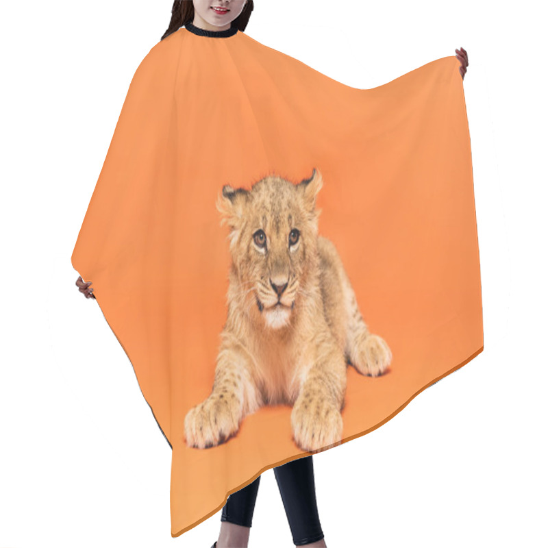 Personality  Cute Lion Cub Lying On Orange Background Hair Cutting Cape