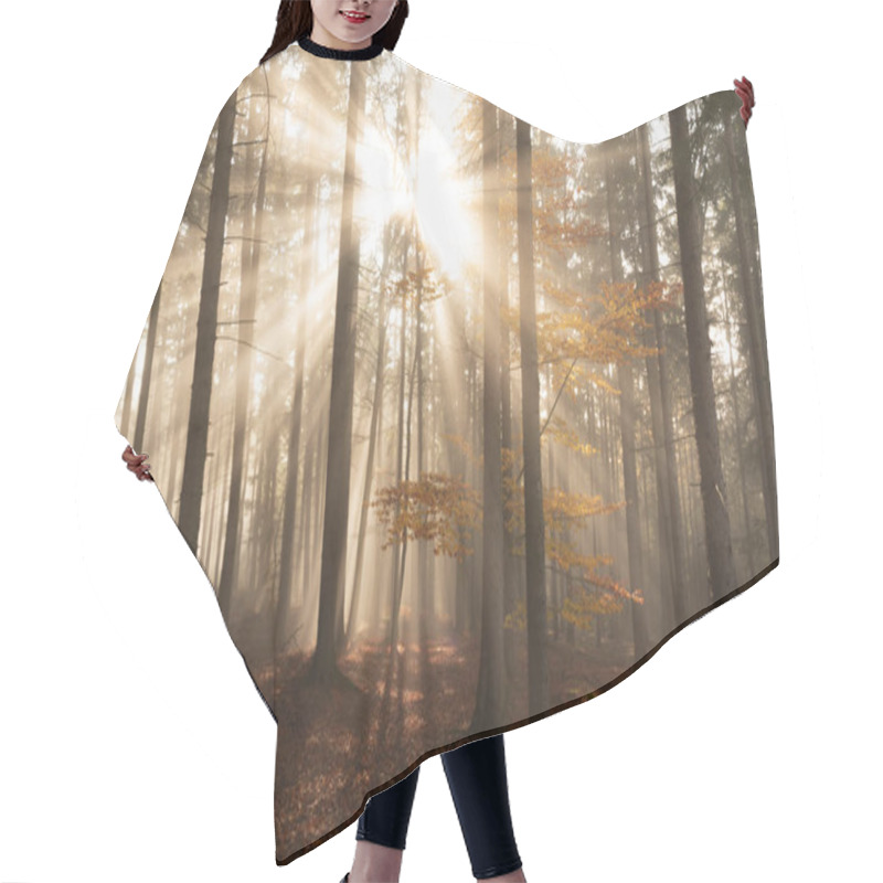 Personality  Sun Rays Shining Through The Fog Among The Trees Hair Cutting Cape