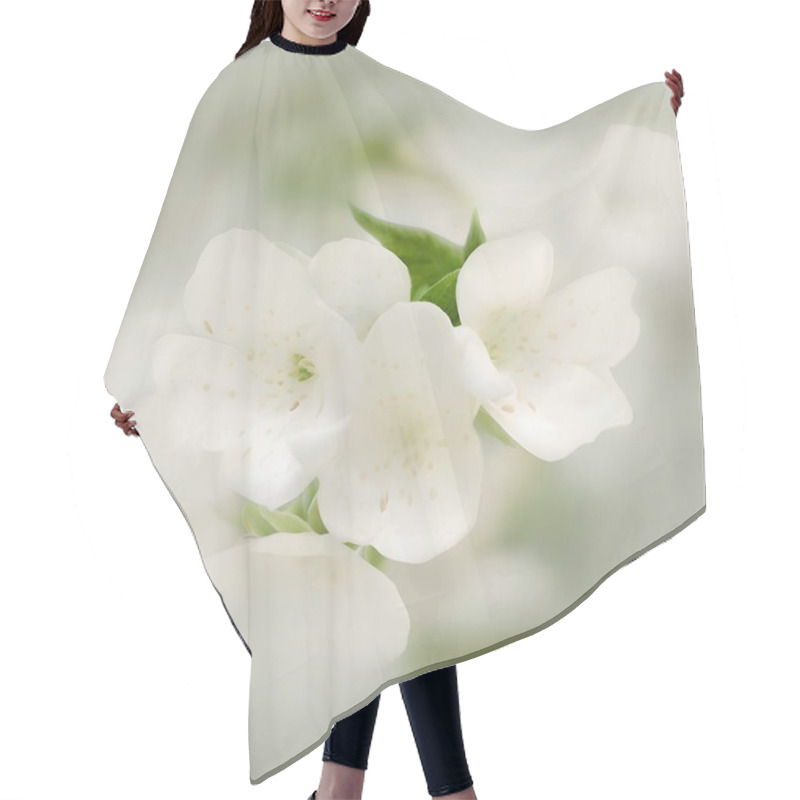 Personality  Serene Jasmine Blossom: A Soft Focus On White Petals Hair Cutting Cape