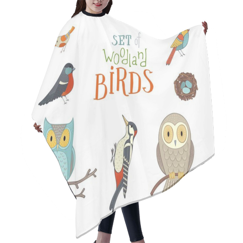 Personality  Set Of Woodland Birds In Cartoon Style. Hair Cutting Cape