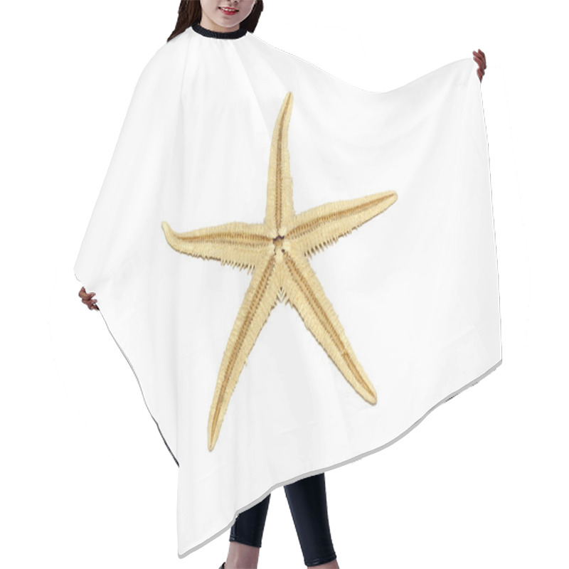 Personality  Starfish Isolated On White Background. Hair Cutting Cape