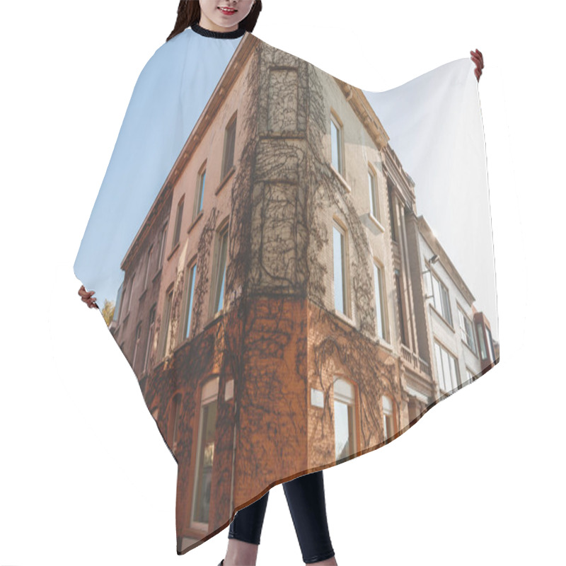 Personality  House With Ivy Hair Cutting Cape