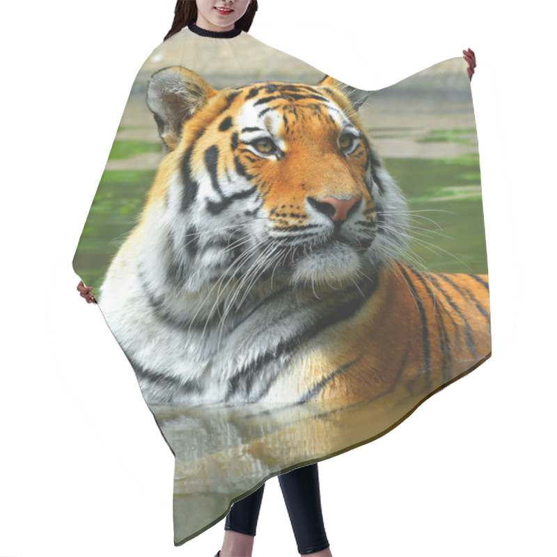 Personality  Siberian Tiger Hair Cutting Cape