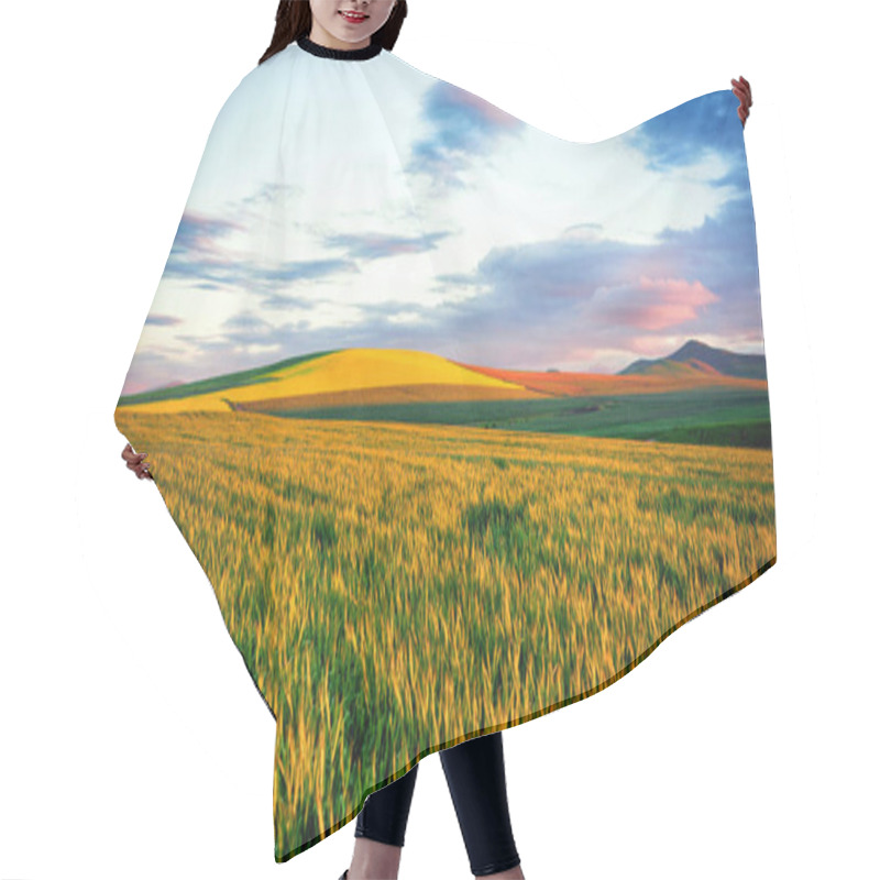 Personality  Scenic View Of Wheat Field  Hair Cutting Cape