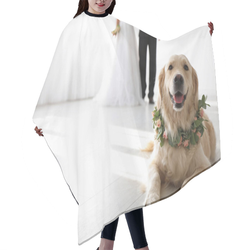 Personality  Adorable Golden Retriever Wearing Wreath Made Of Beautiful Flowers On Wedding. Space For Text Hair Cutting Cape