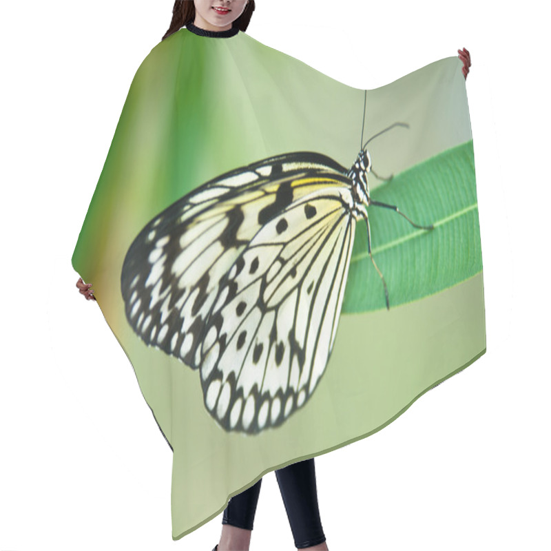 Personality  Rice Paper Butterfly Hair Cutting Cape