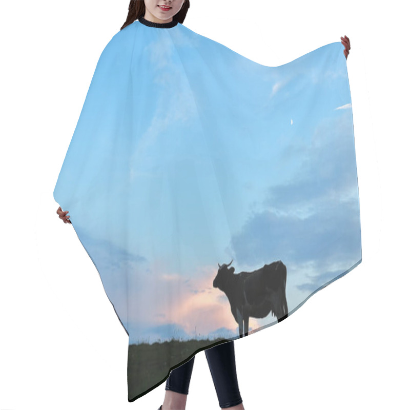 Personality  Cow Silhouette On The Top Of A Hill At Sunset Hair Cutting Cape