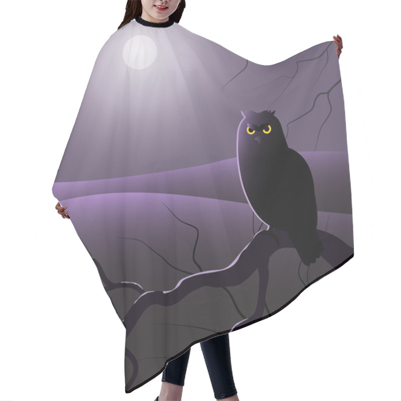 Personality  Owl In The Night Hair Cutting Cape