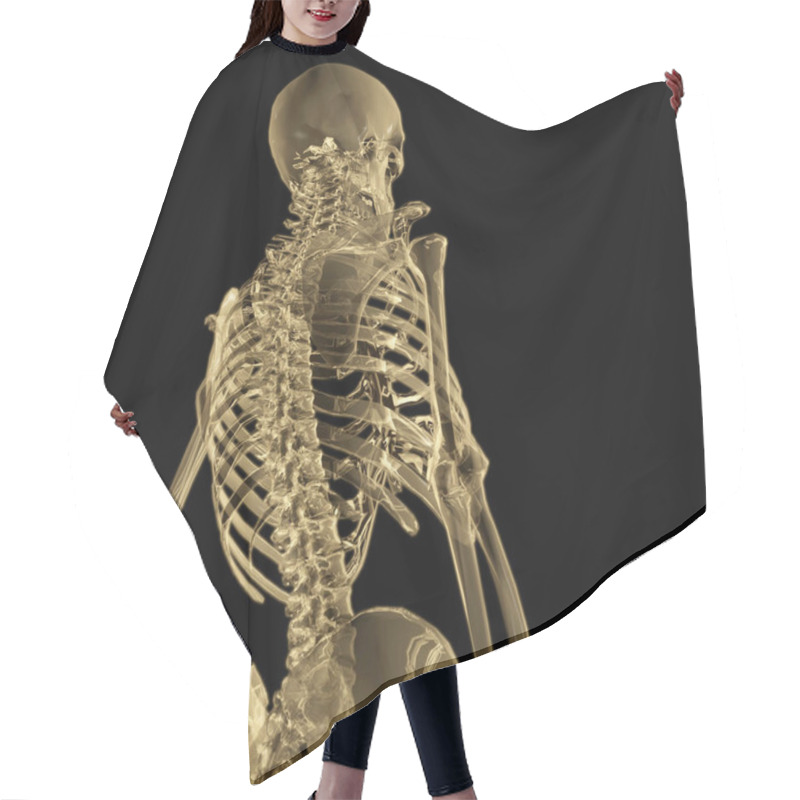 Personality  Digital 3D Rendering Of A Human Skeleton Hair Cutting Cape