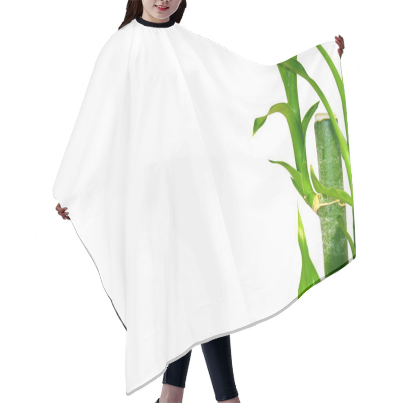 Personality  Young Bamboo Tree Background Hair Cutting Cape