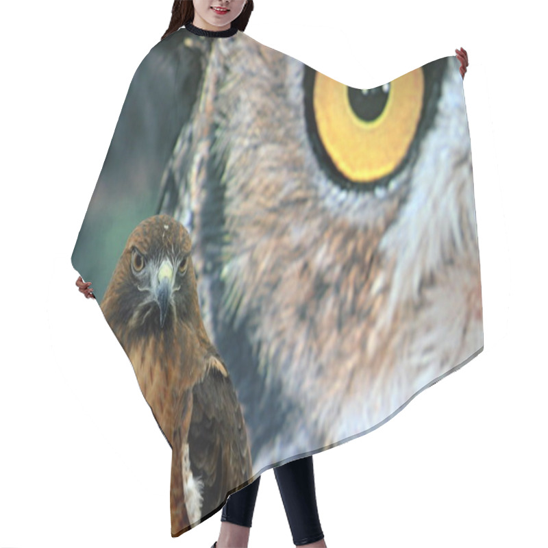 Personality  Hawk Eyes Hair Cutting Cape