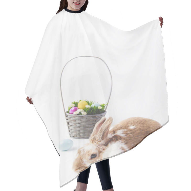 Personality  Easter Basket With Painted Eggs And Rabbit, Easter Concept Hair Cutting Cape