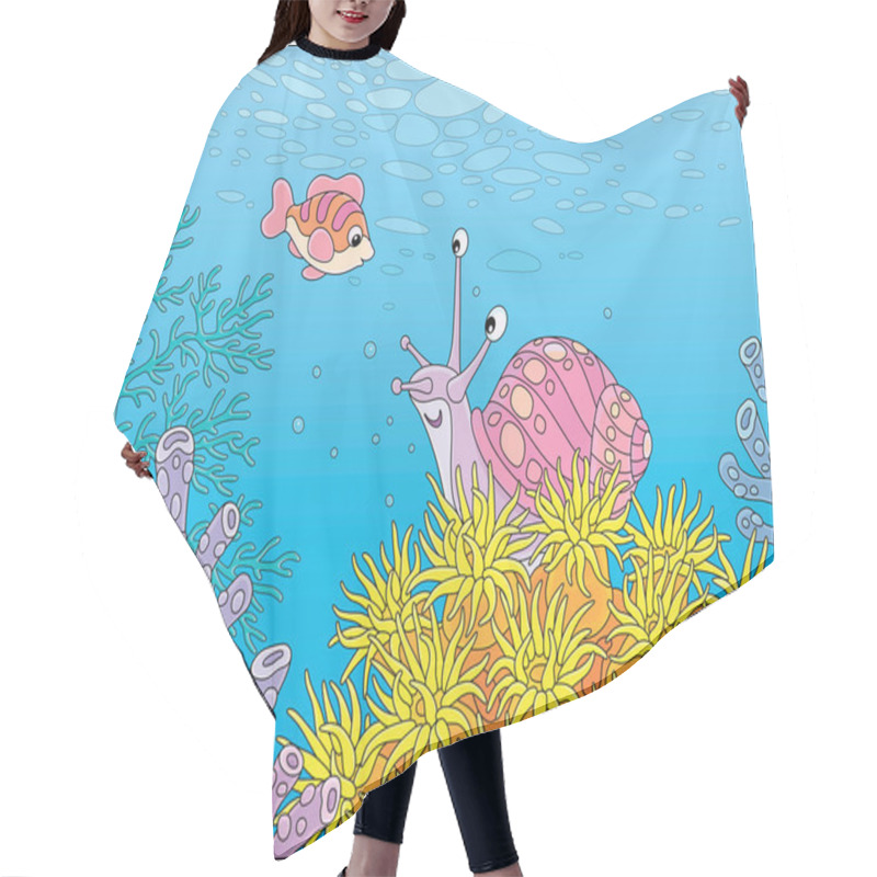 Personality  Funny Marine Snail And A Small Cheerful Fish Swimming Among Bright And Colorful Corals In Blue Water Of An Amazing Tropical Reef In A Southern Sea, Vector Cartoon Illustration Hair Cutting Cape